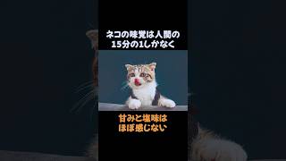 ネコの雑学まとめてみた #雑学 #動物