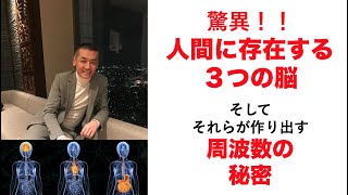 キングダム・マインド　人間のもつ３つの脳と周波数　聖書、量子力学、脳科学、遺伝子科学が告げる人体の奥義と周波数の秘密　三つの脳を覚醒すると奇跡は奇跡でなくなります。そして、脳は２１日で新生する。