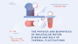 The physics and biophysics of molecular motor dynein and role of thermal fluctuations