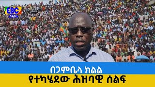 በጋምቤላ ክልል የተካሄደው ሕዝባዊ ሰልፍ Etv | Ethiopia | News