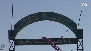 طالب چارواکي ادعا کوي چې هلمند کې سږکال په یو جریب ځمکه هم کوکنار ندي کرل شوي