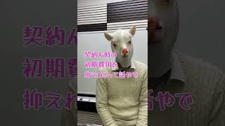 敷金礼金なしって大丈夫なん？？#不動産#不動産情報#賃貸物件#敷金礼金#不動産投資#アルパカ