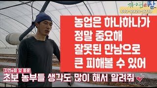 딸기 고설재배 혼합상토 보충 그리고 코코피트 설치 방법 배지의 사용기간은? 귀농인이여 주위를 조심해라!! 펄라이트