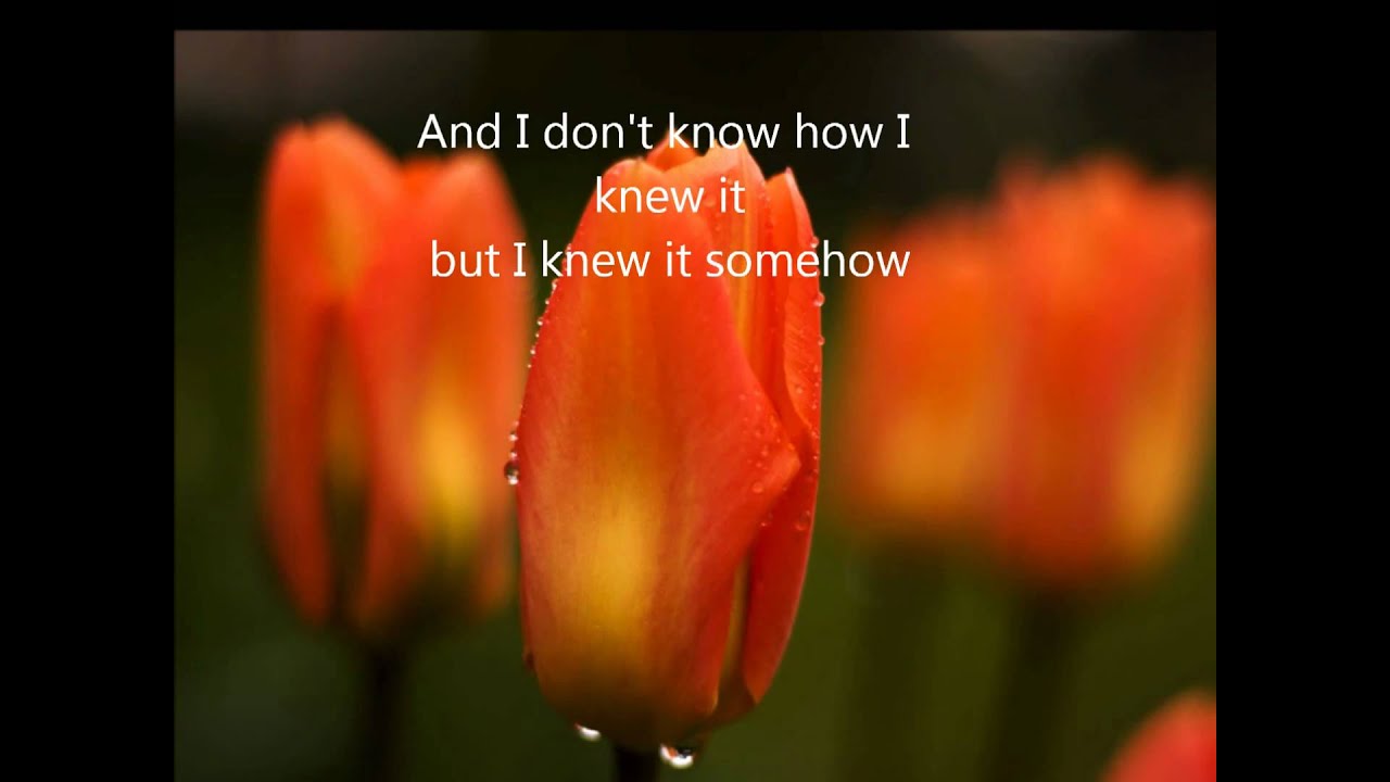 Simply Jessie By Rex Smith Samples Covers And Remixes Whosampled