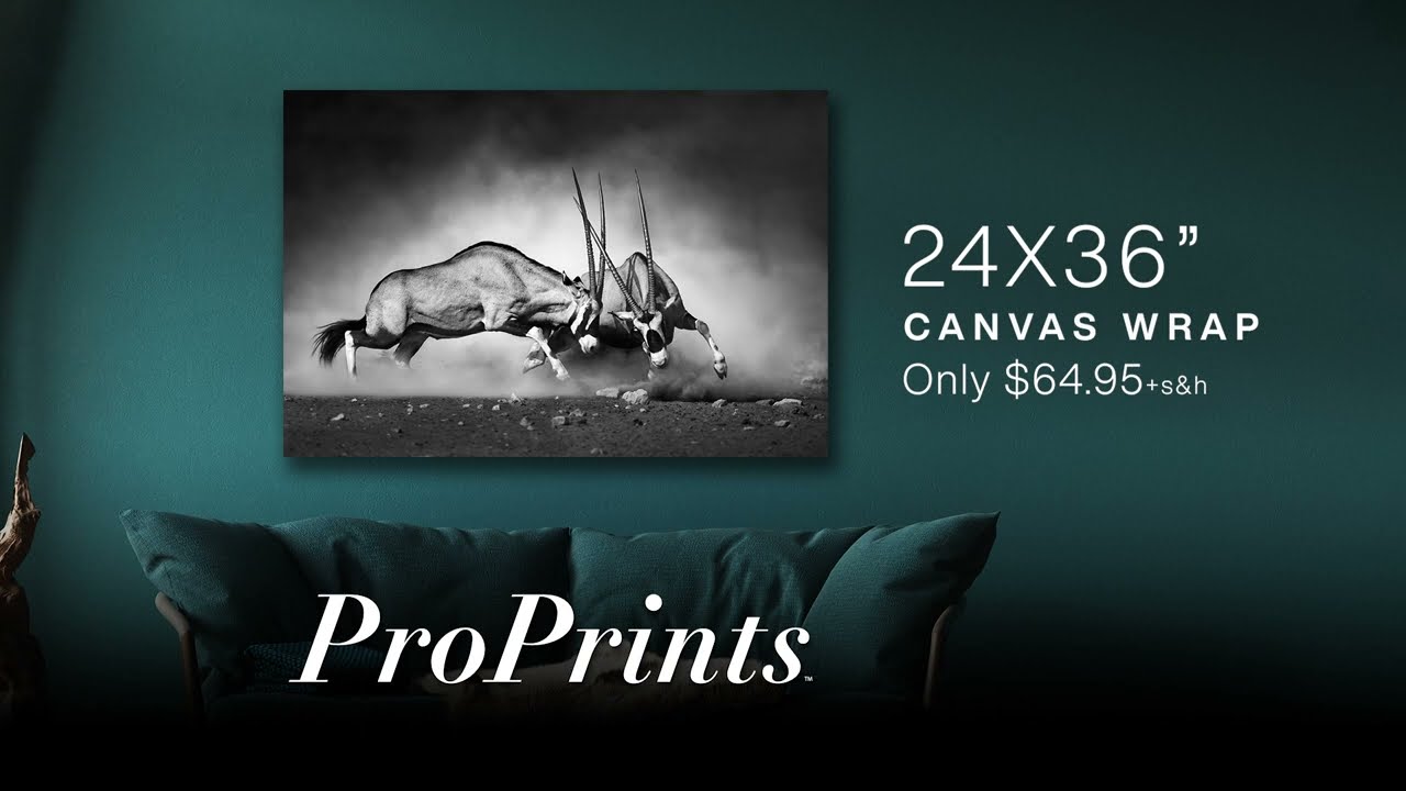 Discover Canvas Wrap Pro By Proprints Ad Youtube