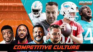 Are Dolphins Creating a Competitive Culture?