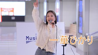 一華ひかり  日本橋公認 路上ライブ（2024/12/26）日本橋MUSICLIVER