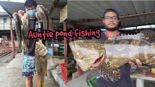 Auntie pond fishing frenzy