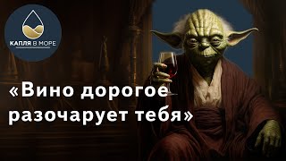 Не тратьте лишние деньги на вино! Почему не нужно покупать дорогое вино?