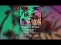 Tropical Groove V1 - NoteLAB Tropical Music 2024 | NEW Tropical House