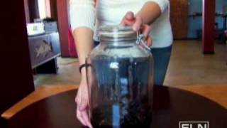 Blackberry Brandy Liqueur-Fine Living