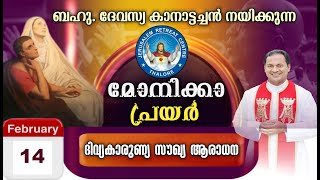 DIVINE MERCY HEALING ADORATION (14/Feb/2025 ),ദിവ്യകാരുണ്യ സൗഖ്യ ആരാധനാ.