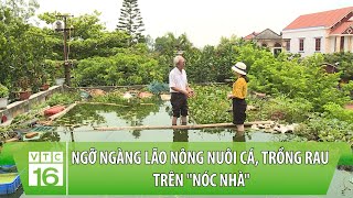 Ngỡ ngàng lão nông nuôi cá, trồng rau trên 