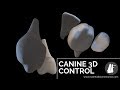 Canine 3D Control | Essential Biomechanics