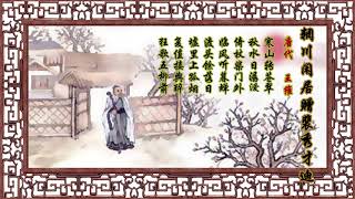 辋川闲居赠裴秀才迪  王维 【狼哥吼古诗】 Wolf brother screaming ancient poems