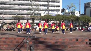 YOSAKOIさせぼ祭り2015 周防紅華連 三角公園会場