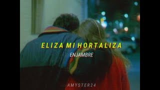 ELIZA MI HORTALIZA | Enjambre/letra