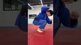 뽑아 업어치기 / Seoi-nage