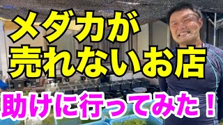 世界メダカ奇行岡山県ひよこめだか中編/メダカ屋やるので課長に辞表を提出！再配信