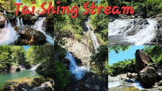 Upper Tai Shing Stream #shortsvideo #exploremore #hkoutdoor #exploremore