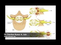 Brachial plexus injury- “You just can’t beat the person who won’t give up.”