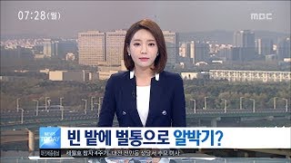 [대전MBC뉴스]빈 밭에 벌통으로 알박기?