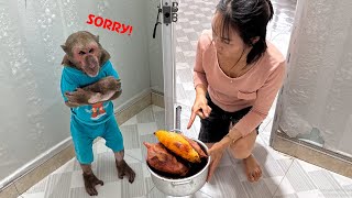 ABU Sorry Mom For Stealing Sweet Potatoes Afraid Being Punished