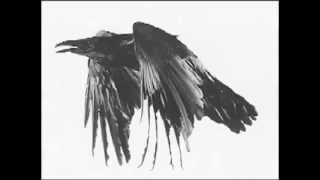 James Earl Jones reads "The Raven" by Edgar Allen Poe