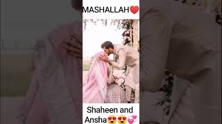 shaheen afridi wedding | shaheen afridi wedding pics