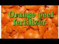 Orange Peel Fertilizer 🍊🍊 At Home For Plants # DREAMFUL WORLD