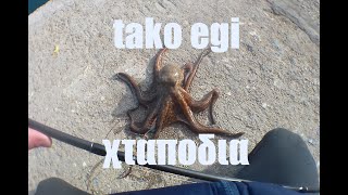 tako egi για χταπόδια