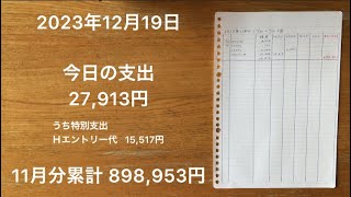 【家計簿】2023年12月19日 今日の支出/12月なのに、ぴょんぴょんと道路を横切るカエルを見かけました。/今年の12月は冷え込む日もありますが、日中半袖でちょうどよかったりする日も多いです。