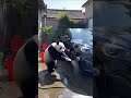 Giant panda is cleaning his car #panda #cute #funny #redpanda #giantpanda