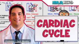 Cardiovascular | Cardiac Cycle