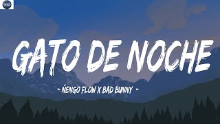 Ñengo Flow x Bad Bunny - Gato de Noche (Letra/Letra) | Gato de Noche Mix