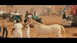 Jatt Dabde Ni Balliye Dabaye To Kade (Official Video) Ammy Virk,  New Punjabi Songs 2021