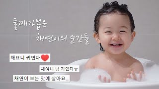 요청폭주ㅣ귀여운 건 모아보는 거랬어🧡