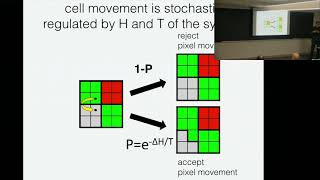 Programming self-organization of multicellular structures