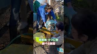 岐阜県にある管理釣り場つつじ池で新べら放流映像‼️ #へらぶな #魚 #fishing #釣り #shorts