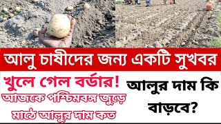 বর্ডার খুলে গেল।আলু চাষীদের জন্য সুখবর। জানুন আজকে আলুর দাম কত? আলুর দাম কি বাড়বে?