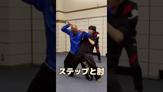 【ステップと肘】 #kungfu #八極拳 #自然門 #接近戦  #肘 #ステップ #xingyiquan  #cqc  #ziranmen #bagua  #naist