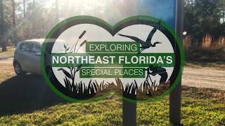 Exploring Northeast Florida's Julington Durbin Creek Preserve