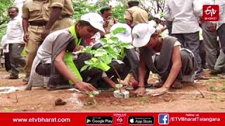 నేడు రాష్ట్రవ్యాప్తంగా సామూహిక హరితహారం, పాల్గొననున్న ప్రజాప్రతినిధులు, అధికారులు || HARITHA HARAM