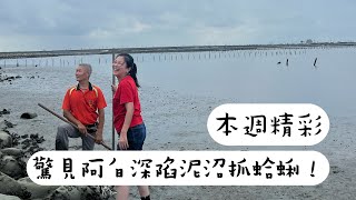 為了愛情！阿白深陷泥沼抓蛤蜊？｜本週精彩｜寶島神很大online