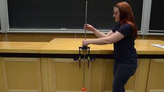 3A15.10-2 - Physical Pendulum with Adjustable Center of Mass