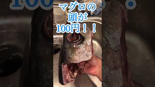 今度は鉢マグロのカシラが100円‼️希少部位を刺身で食べてみたら…