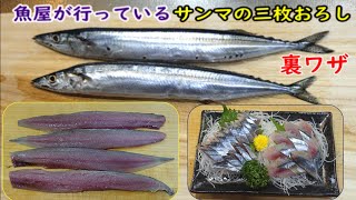 サンマの三枚おろし魚屋が使う技で身をたっぷり残す方法【2023年新サンマ）