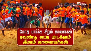 🔴LIVE: Avaniyapuram | Jallikattu -மோதி பார்க்க சீறும் காளைகள் ரவுண்டு கட்டி அடக்கும் இளம் காளையர்கள்