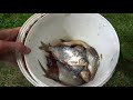 how to dry fish. best snack with beer