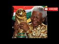 ኔልሰን ማንዴላ የህይወት ታሪክ history of nelson mandela madiba